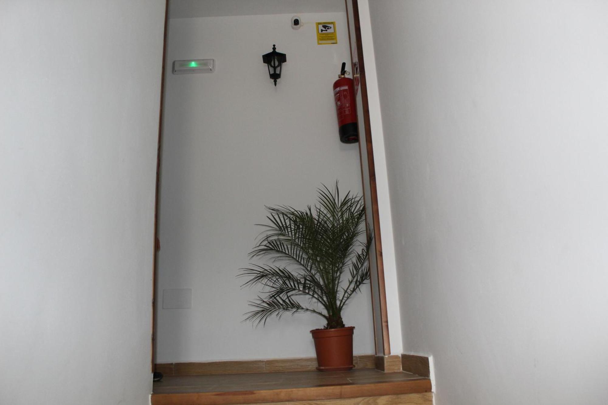 Ninfa De La Sierra Apartment Riopar Exterior photo